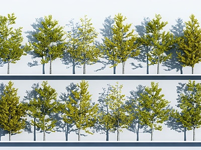 植物绿植树木组合模型