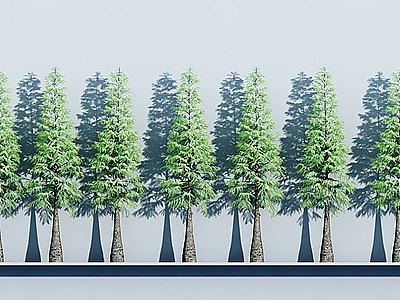 植物树木杉树模型