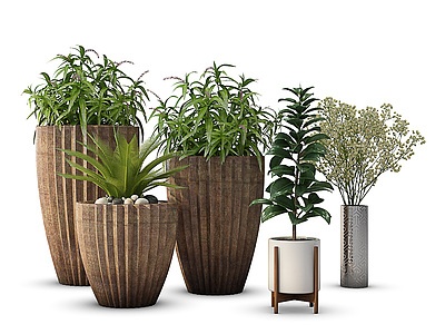 植物绿植盆栽植物花瓶模型