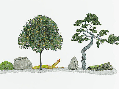 3d庭院景观绿植树模型