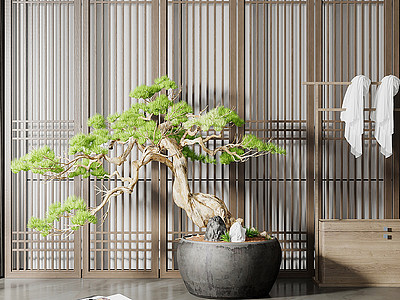 中式绿植盆栽模型3d模型