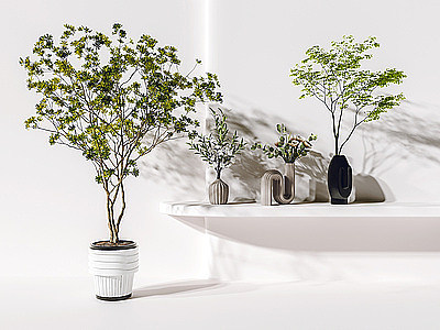 盆栽模型3d模型