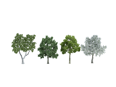 植物树模型