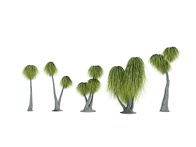 3d热带植物树模型