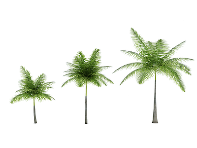 热带植物树模型3d模型