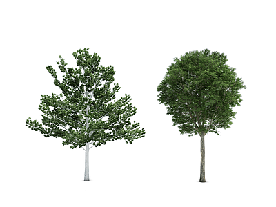 3d<font class='myIsRed'>植物树</font>模型