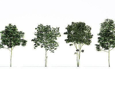 3d<font class='myIsRed'>植物树木</font>大树模型