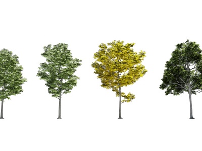 3d<font class='myIsRed'>植物树</font>木大树模型