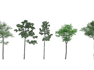 植物绿植树木组合模型