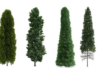 3d<font class='myIsRed'>植物树</font>木大树模型