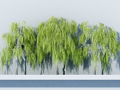 3d柳树模型