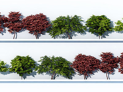 3d现代<font class='myIsRed'>红枫</font>树3D模型模型