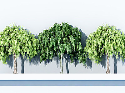 柳树3d模型