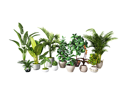 绿植盆栽模型