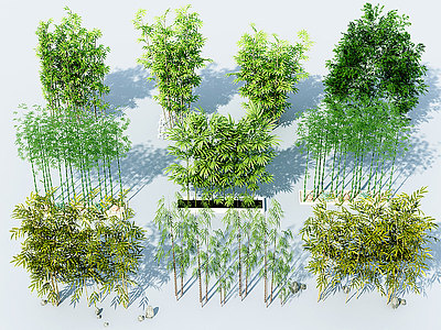 C4D3d竹子模型下载模型