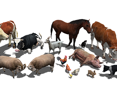 牛羊猪狗鸡养家禽动物组合模型3d模型