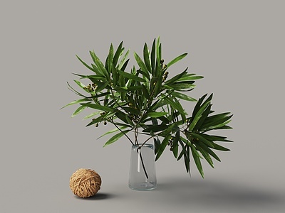 3d花卉水生植物模型