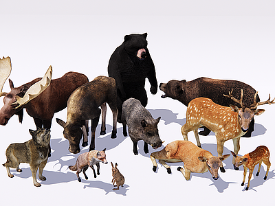 C4D森林动物爬行动物鹿狼熊模型