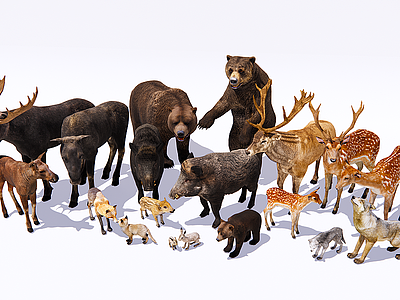 森林动物爬行动物鹿狼模型