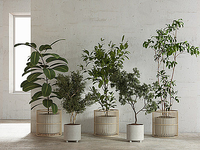 3d现代盆栽模型