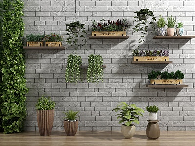 植物盆栽绿植墙模型
