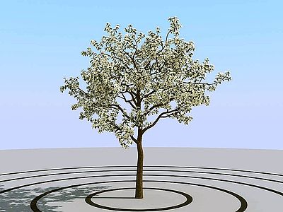 3d夏季景观植物树木模型