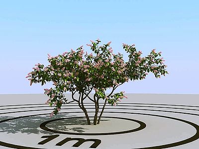 3d<font class='myIsRed'>景观树</font>开花的树春天树模型