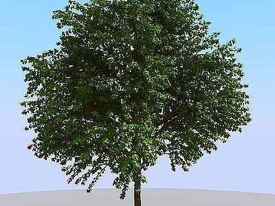 3d<font class='myIsRed'>现代</font>景观植物树模型
