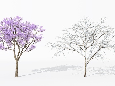 景观植物树雪景树枯树干枝3d模型