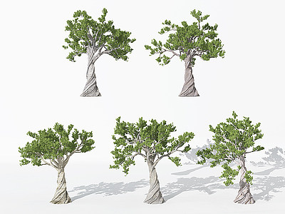 现代园林景观植物松树3d模型
