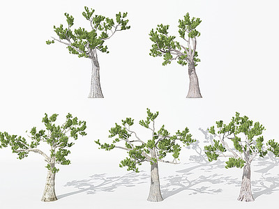 现代园林景观植物松树3d模型