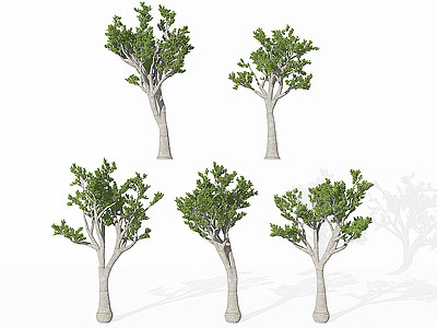 景观植物松树模型