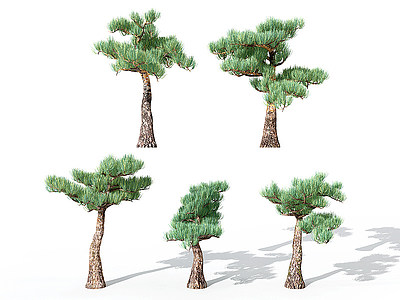 3d现代景观<font class='myIsRed'>植物松树</font>模型