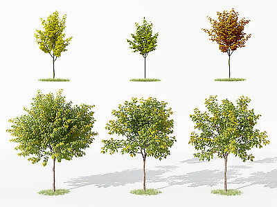 树绿植模型