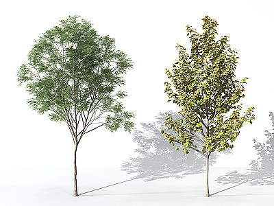 3d<font class='myIsRed'>景观</font>植物树模型