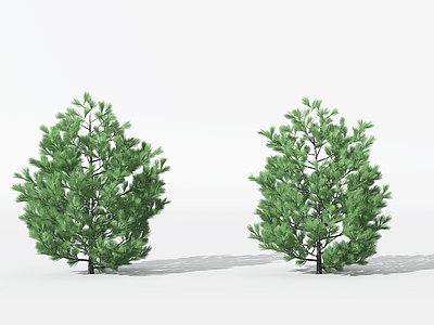 3d<font class='myIsRed'>景观植物树</font>松柏树针叶植物模型