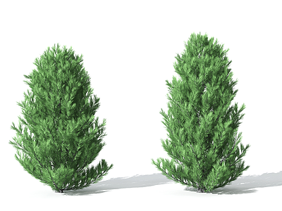 3d<font class='myIsRed'>景观植物</font>树松柏树针叶模型