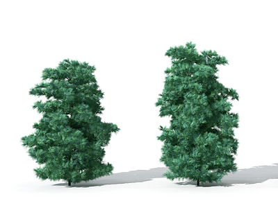 3d景观植物树<font class='myIsRed'>松柏树</font>针叶模型