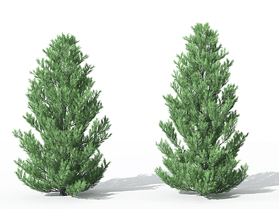 3d景观植物<font class='myIsRed'>树松</font>柏树针叶模型