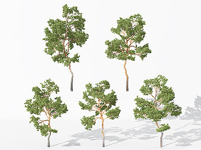 3d现代<font class='myIsRed'>景观植物</font>树模型
