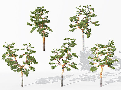 3d现代景观<font class='myIsRed'>植物树</font>模型