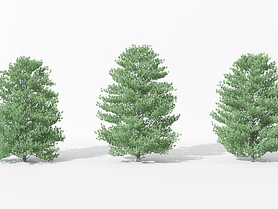 3d景观植物树松柏树<font class='myIsRed'>针叶</font>模型
