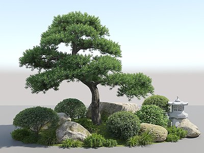 景观树松树模型3d模型
