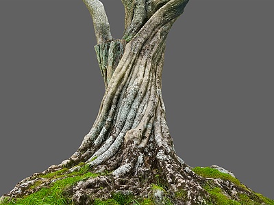 3d树干模型