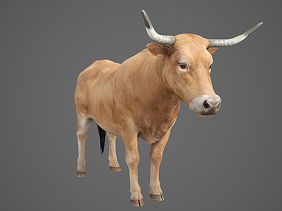 3d牛动物模型