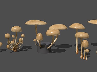 3d现代野生蘑菇模型