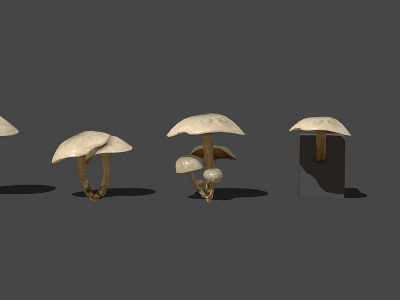 现代野生蘑菇模型3d模型