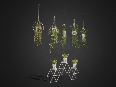 3d吊篮室内盆栽绿色植物模型