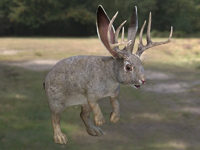 3d鹿角兔子动物模型