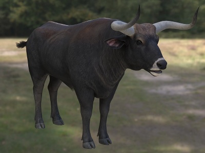 3d欧洲野牛动物模型